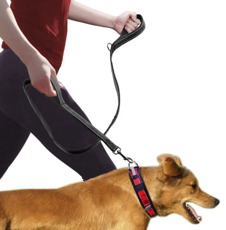 Dual Handle Reflective Dog Leash - Better Control & Nighttime Safety